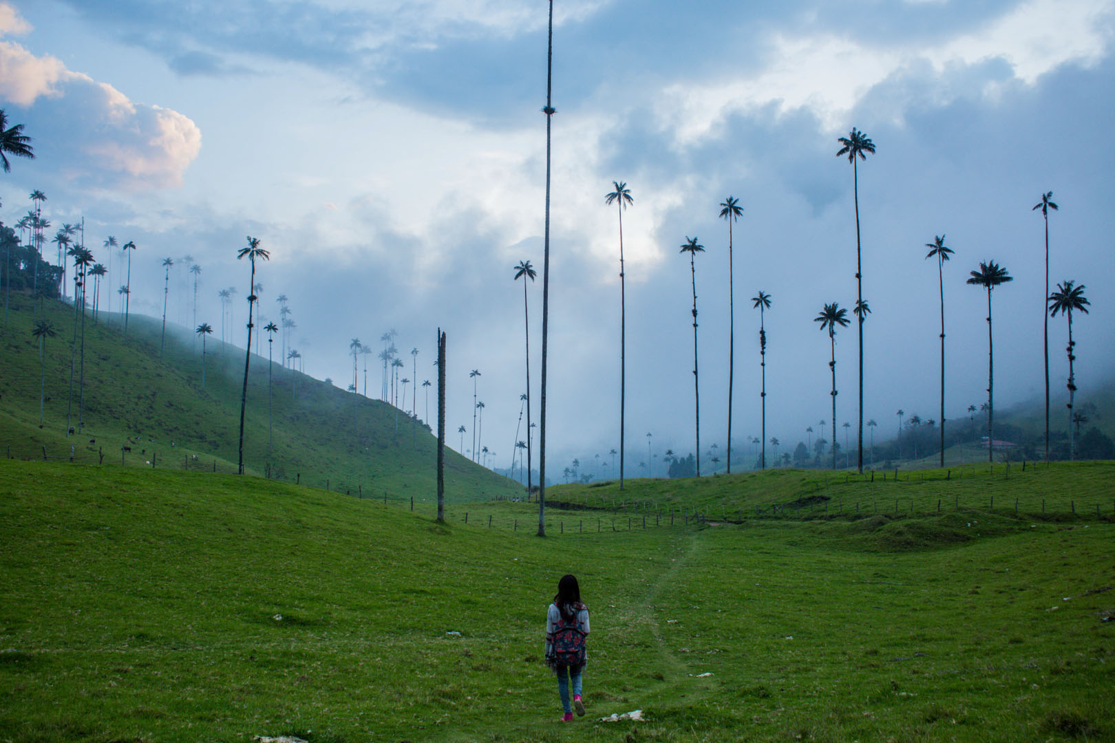 Valle de cocora, colombia, nomadarte, vanlife