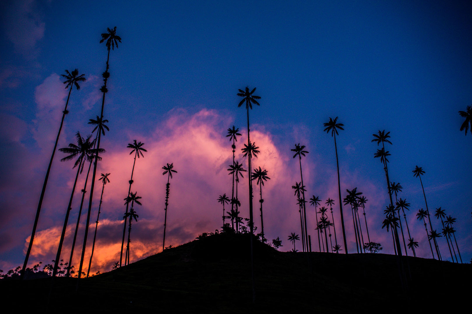 Valle de cocora, colombia, nomadarte, vanlife