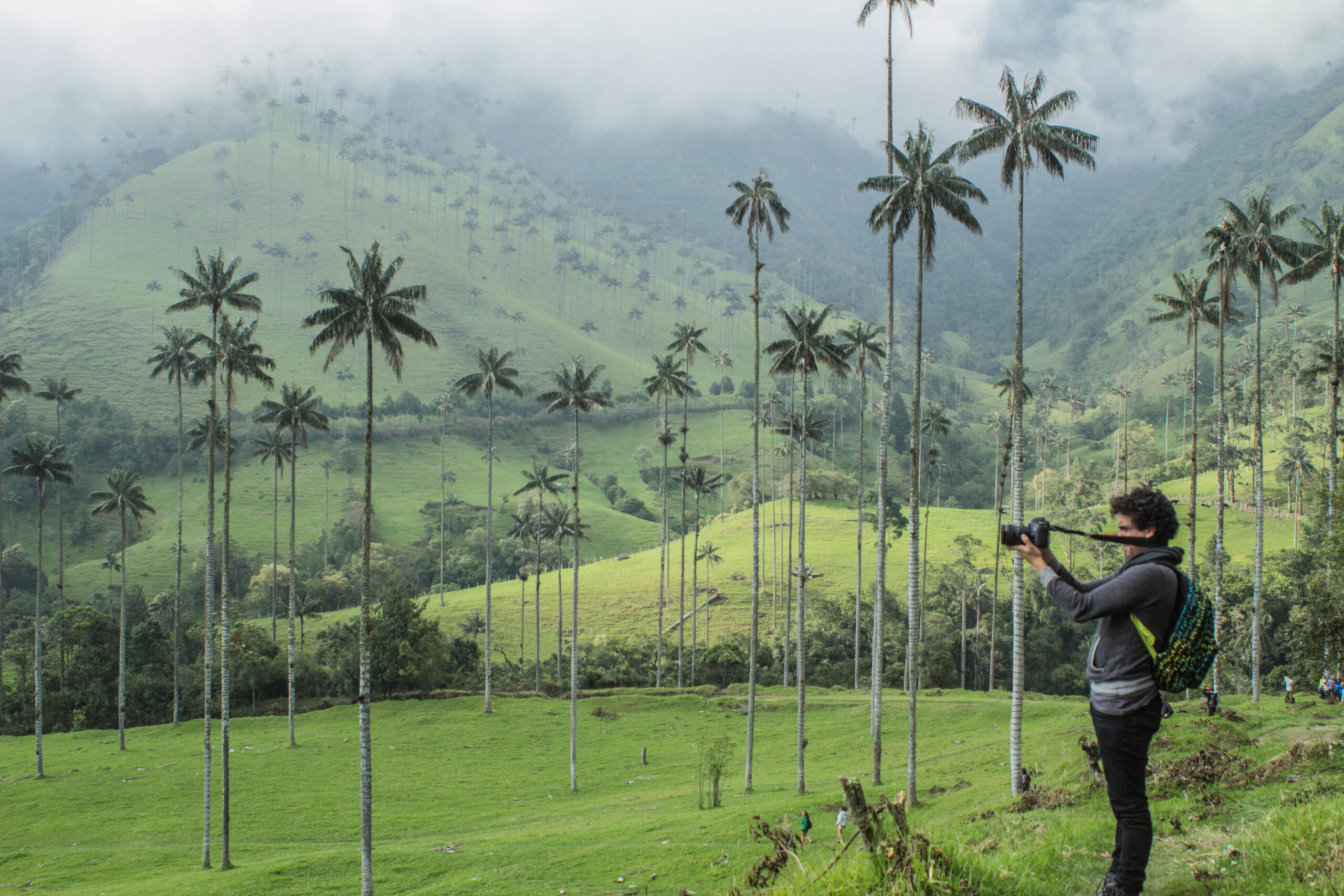 Valle de cocora, colombia, nomadarte, vanlife