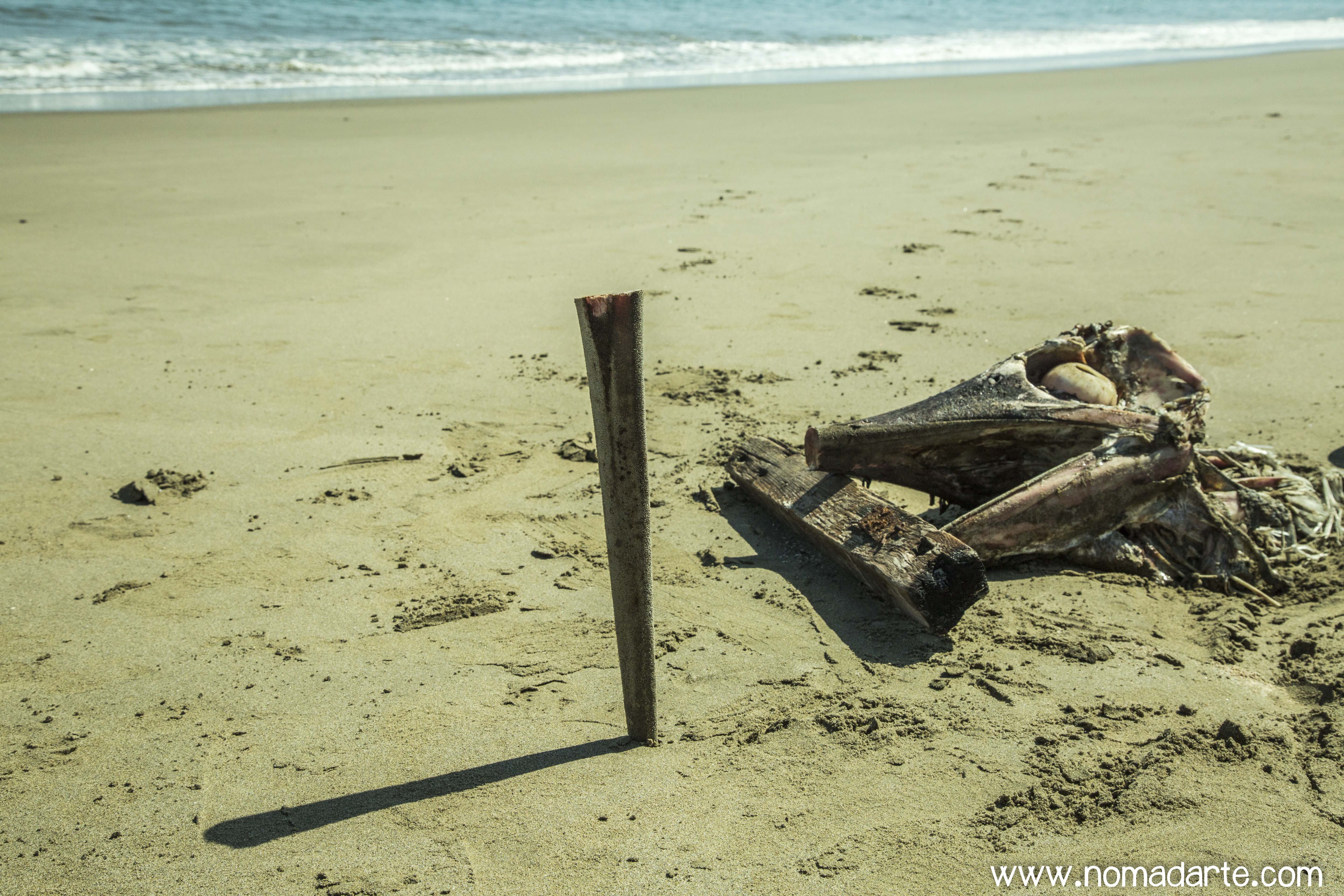 Peru_mancora-20152X8B9923