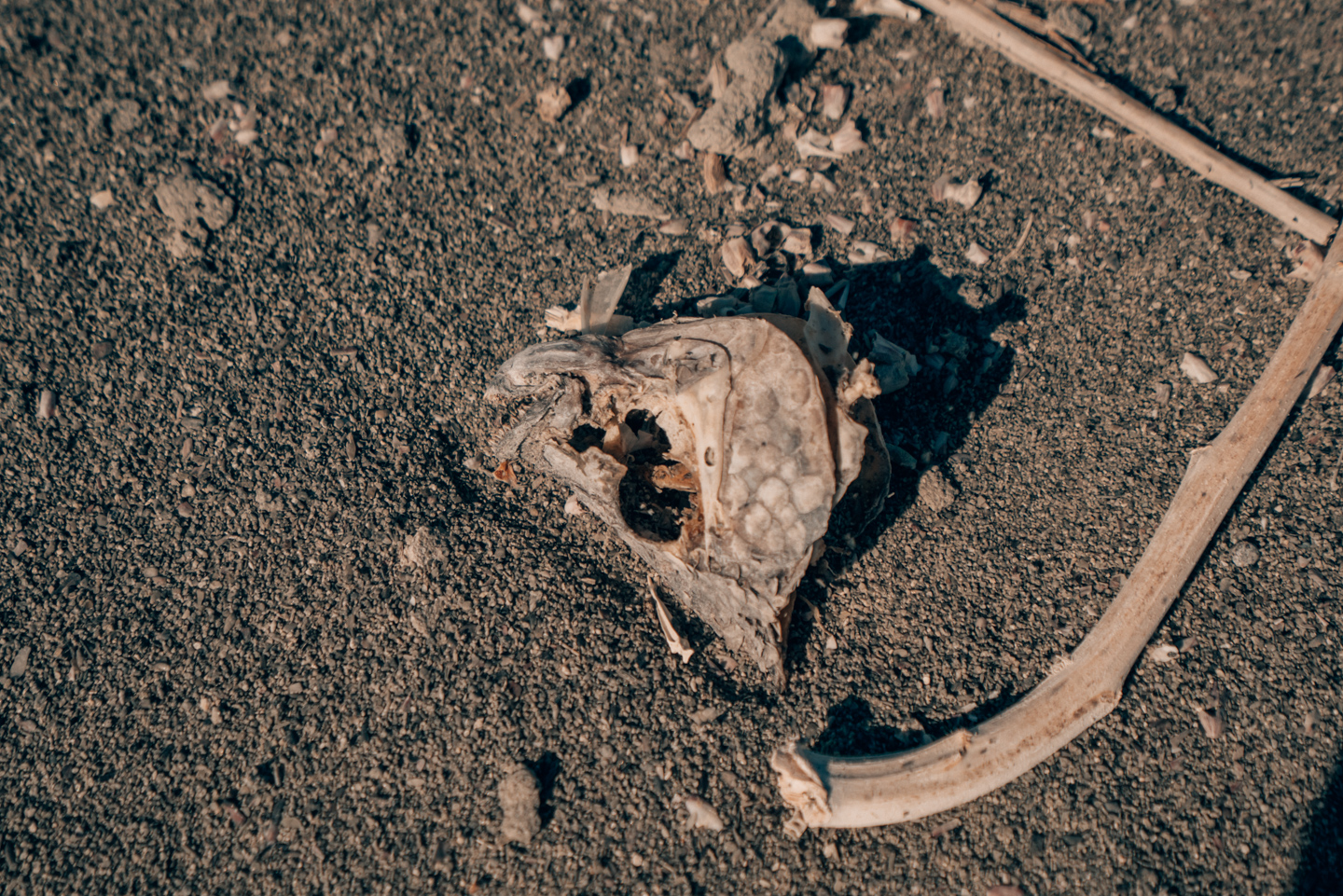 Bombay Beach tierra de zombies.