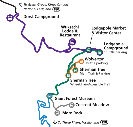 sequoia national park nomadarte