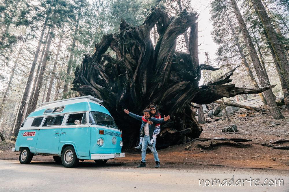 sequoia national park nomadarte