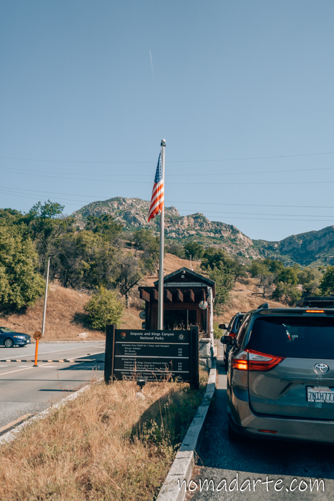 sequoia national park nomadarte