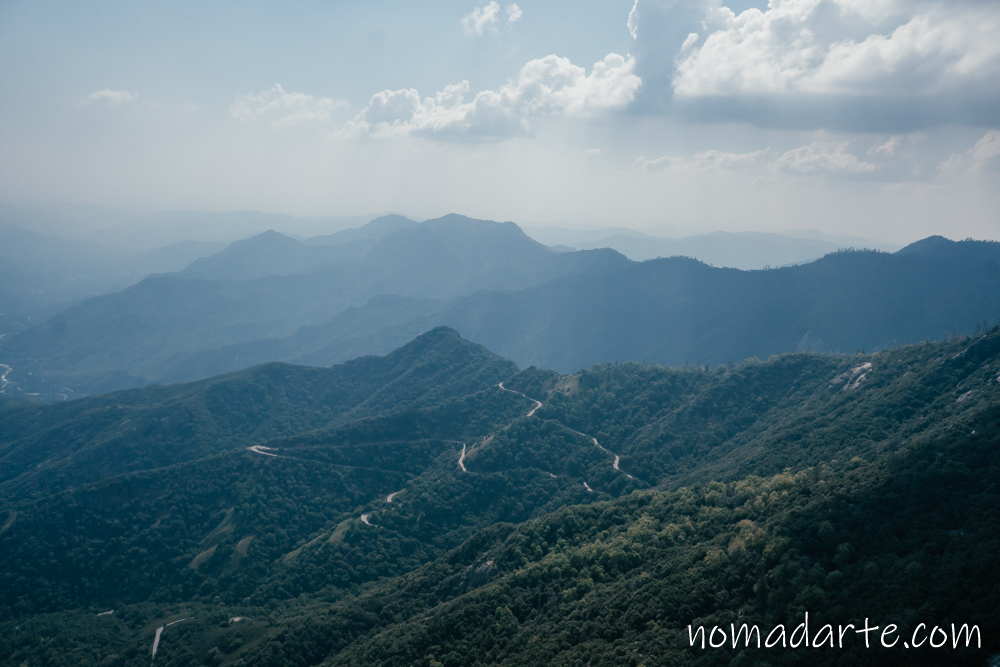 sequoia national park nomadarte