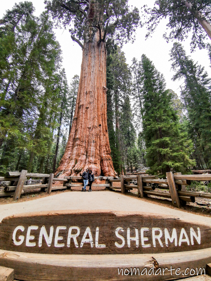 general sherman