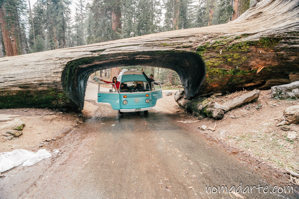 tunnel log