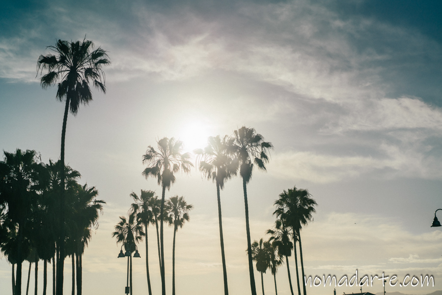 venice beach, california, playa