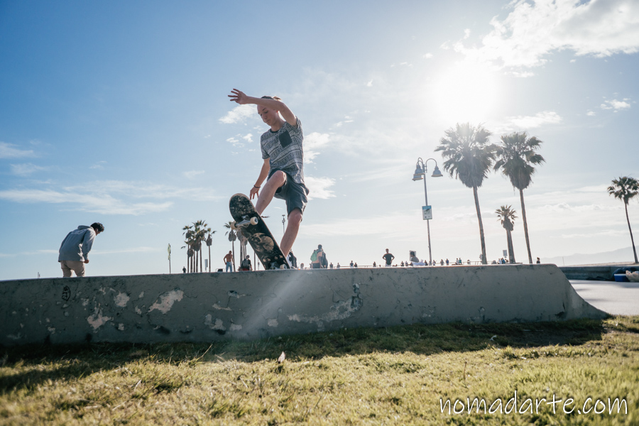 venice beach, california, skate