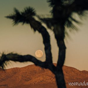 luna desierto california