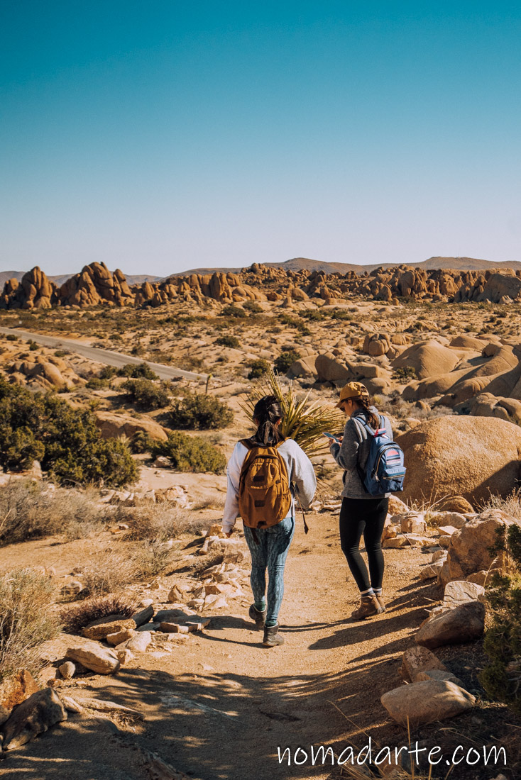 trekking parque nacional joshua tree