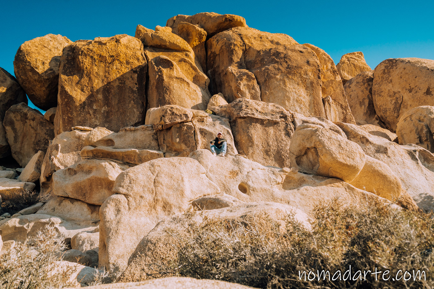 guia de viaje joshua tree