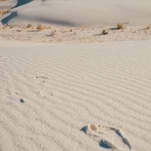 White sands, dunas de yeso Nuevo México