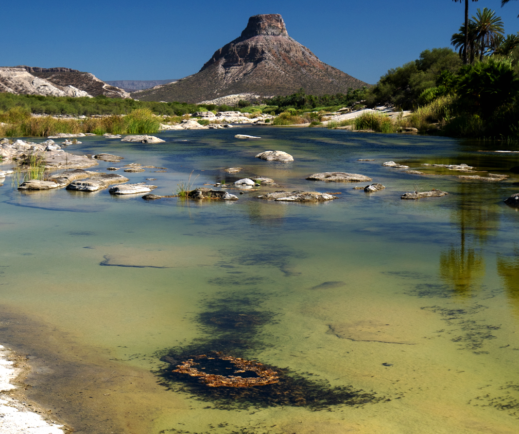 Oasis, Cerro el Pilon, la purisima-Baja-California-Sur-Vanlife-Surf-en-Baja-loreto-comundu