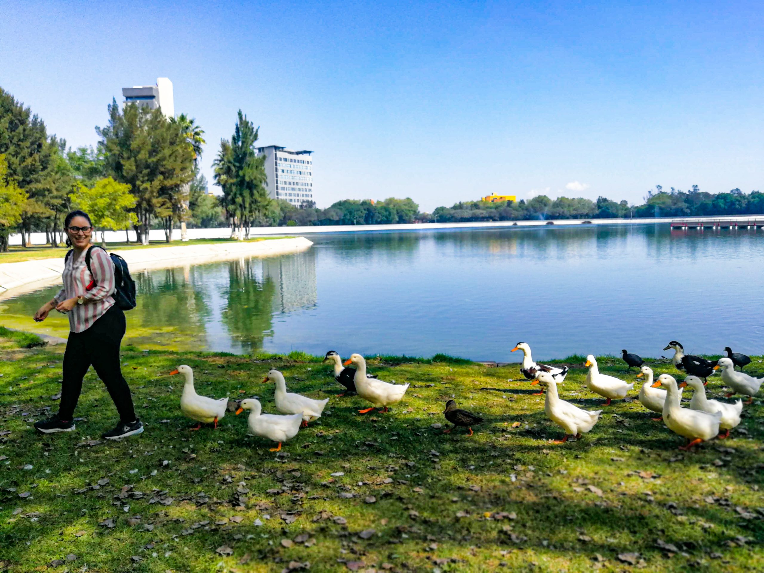 PARQUE TANGAMANGA, QUE HACER EN SAN LUIS POTOSI 