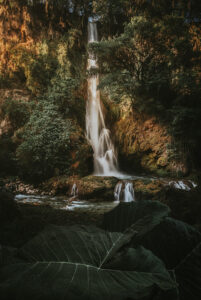 Cascada del aguacate en San Luis Potosí